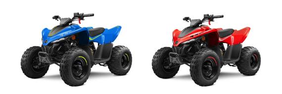 CFMOTO CFORCE 110 - VERGLEICH